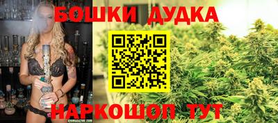 ПСИЛОЦИБИНОВЫЕ ГРИБЫ Нарткала