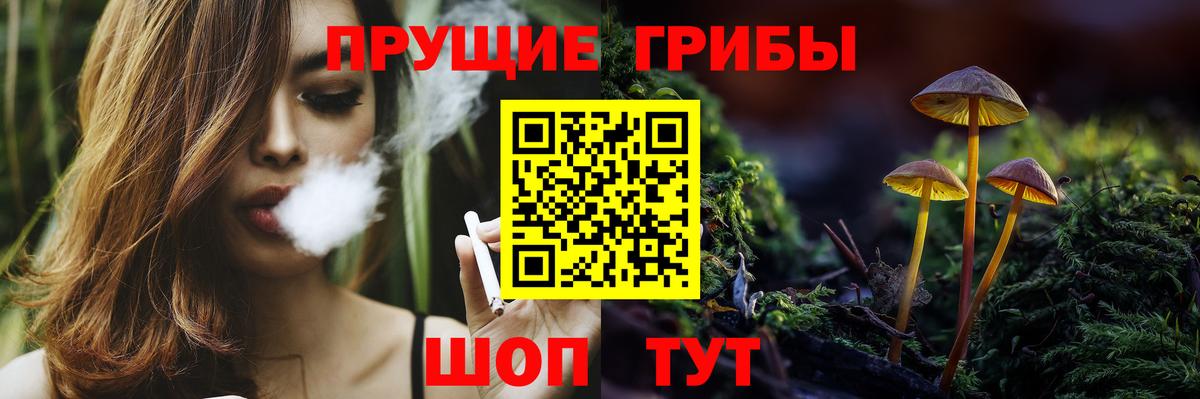 Галлюциногенные грибы Magic Shrooms Сланцы